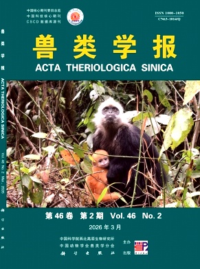 兽类学报封面